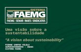 SojaPlus workshop4 - Sustentabilidade_FAEMG