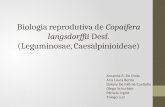 Apresentação do seminario Biologia reprodutiva de capoifera langsdorffii