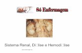 (2) sistema renal, dialise e hemodialise