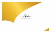 Hinode - Plano de MKT 2015