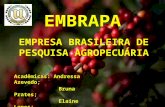 Embrapa - Empresa Brasileira de Pesquisas Agropecuária