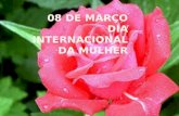 08 de marco dia internacional da mulher
