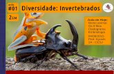 2EM #01 Diversidade dos invertebrados