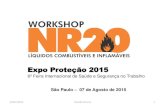 Workshop NR 20 São Paulo 07-08-2015 - Ricardo Shamá