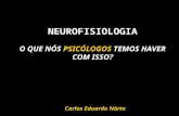 Neurosifiologia o Que Nos Psicologos Temos Haver Com Isso