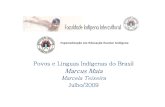 Povos e Linguas Indigenas do Brasil.pdf