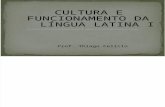 Cultura e Funcionamento Da Lingua Latina i