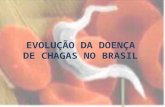 Evolução Doença de Chagas Brasil
