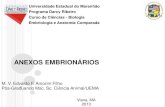 ANEXOS EM...pdf