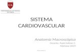 Clase Anatomia Macroscopica CORAZON Paula Salinas