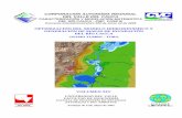 Optimización Del Modelo Hidrodinámico y Generacion de Mapas de Inundacion Del Rio Cauca