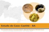 Seminário: estudo de caso da poluição de U em Caetité BA