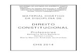 CHS 2014 - Apostila de Direito Constitucional