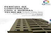 Octavio Galvao Neto-pericias Na Construcao Civil e Normas Tecnicas (1)
