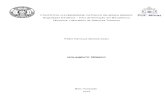 Relatório Isolamento Térmico - PUC-MG
