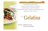 Processo de Produção Da Gelatina - Apostilas - Engenharia Química