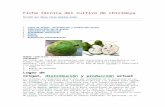 Ficha técnica del cultivo de chirimoya.docx