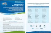 PDF Guia Aves