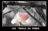 492 - Lei Maria Da Penha