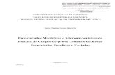 Propriedades Mecânicas e Micromecanismos de Fratura de Corpos-de-prova Usinados de Rodas Ferroviárias Fundidas e Forjadas Campinas, 2012 74
