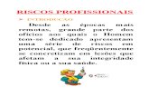 RISCOS PROFISSIONAIS - 2