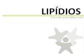 Bioquímica lipidios