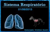 Slides Sobre Sistema Respiratório, Medicina Veterinária. Elaborado Por Kristhian Felipe Spacki
