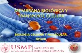 Membrana Biologica