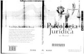 GONÇALVES, Hebe Signorini e BRANDÃO, Eduardo Pontes. Psicologia Jurídica No Brasil. Editora Rio de Janeiro. 2005.