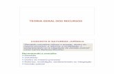 3 - Teoria geral dos recursos.pdf