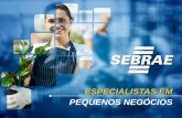 índices e estatísticas micro e pequenas empresas - SEBRAE