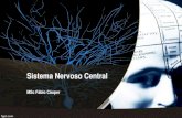FISIO - 4. Sistema Nervoso Central I.pdf