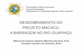Projeto Macacu - IntrEng2015.pdf