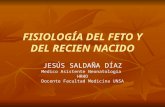 Fisiologã_a Del Feto y Del Recien Nacido Clase Teorica (1)