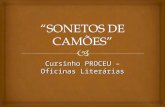 Sonetos de Camões - Proceu.ppt