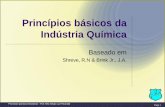 Principios Basicos Da Industria Química