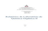 Modelos de Relatórios Para Aulas Experimentais de Química Orgânica