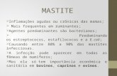 MASTITE 2015