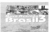 Novo Avenida Brasil 3