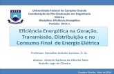 Eficiência Energética Na Geração,Transmissão, Distribuição e Consumo Final de Energia Elétrica
