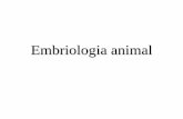1a - Embriologia Animal - 2015