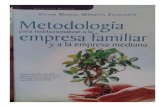 Metodologia Para Institucionalizar a La Empresa Familiar y a La Empresa Mediana - Victor Manuel Mendivil Escalante 117