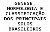 2_aula - Genese Morfologia e Classificacao Dos Principais Solos Brasileiros