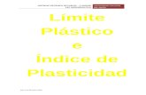 Limite Plastico