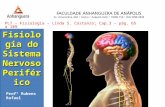 3Aula Fisiologia Sistema Nervoso Periferico