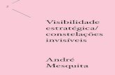 Visibilidade estratégica/ constelações invisíveis - André Mesquita