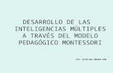 02.- Inteligencias Multiples Mod Mpntessori