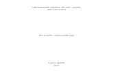 relatório espectometria - amilcar.pdf