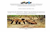Orçamento de Atividades Diárias de Um Grupo de Macacos-prego Sapajus Libidinosus, (Spix, 1823) Do Parque Nacional Serra Da Capivara-PI e Entorno-DANILO- CORRIGIDA