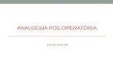 Analgesia Pós Operatória